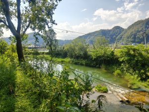 Green river winding through lush vegetation and farmland with forested hills 