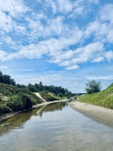 A serene landscape features a narrow stream reflecting the blue sky, flanked by lush greenery.