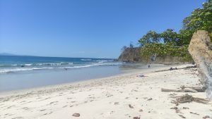 A white sand beach with blue sea and sky and tropical plants. 