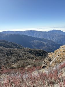Panoramic view of layered forested mountain ridges in Nepal, with red-budded alpine shrubs and lichen-covered rocks in the foreground, distant hazy peaks fading into the horizon under a clear blue sky. 