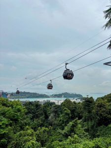 Cable cars traveling above a dense tropical forest with coastal waters visible in the distance. 