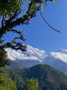 A breathtaking Himalayan landscape unfolds beneath a crystal-clear blue sky, where snow-capped peaks rise majestically above lush green hills. Framed by tree branches in the foreground and kissed by drifting clouds, the scene beautifully captures the harmony between Nepal’s vibrant forests and its towering mountains.