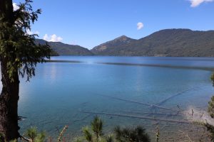  A wide landscape photograph of Rara Lake featuring clear, deep blue water. The shallow water in the immediate foreground reveals submerged tree logs and a rocky bottom. 

