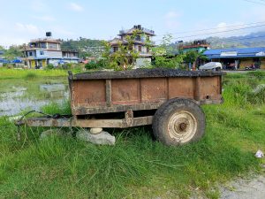 An abandoned rusty farm trailer with young saplings sprouting from soil collected in its bed, parked beside flooded rice paddies.