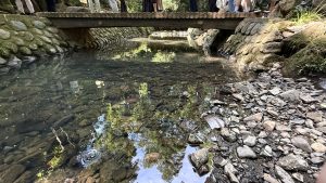 Small bridge over a stream in Todoroki Valley, Tokyo, with visitors walking and exploring the natural ravine.