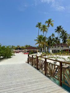 A wooden boardwalk extends towards a pristine beach lined with tall palm trees under a clear blue sky. On the left, lush green shrubs peek out from the sandy shore.