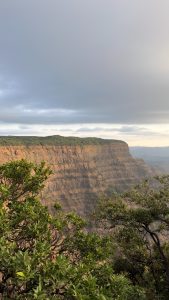 Koyna Wildlife Sanctuary Amazing Views
