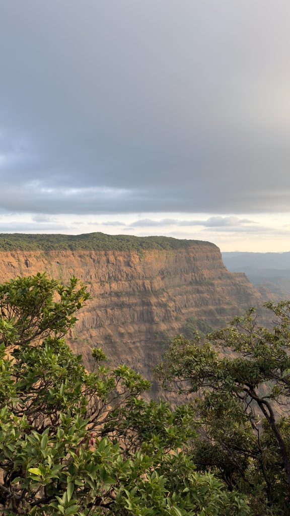 Koyna Wildlife Sanctuary Amazing Views