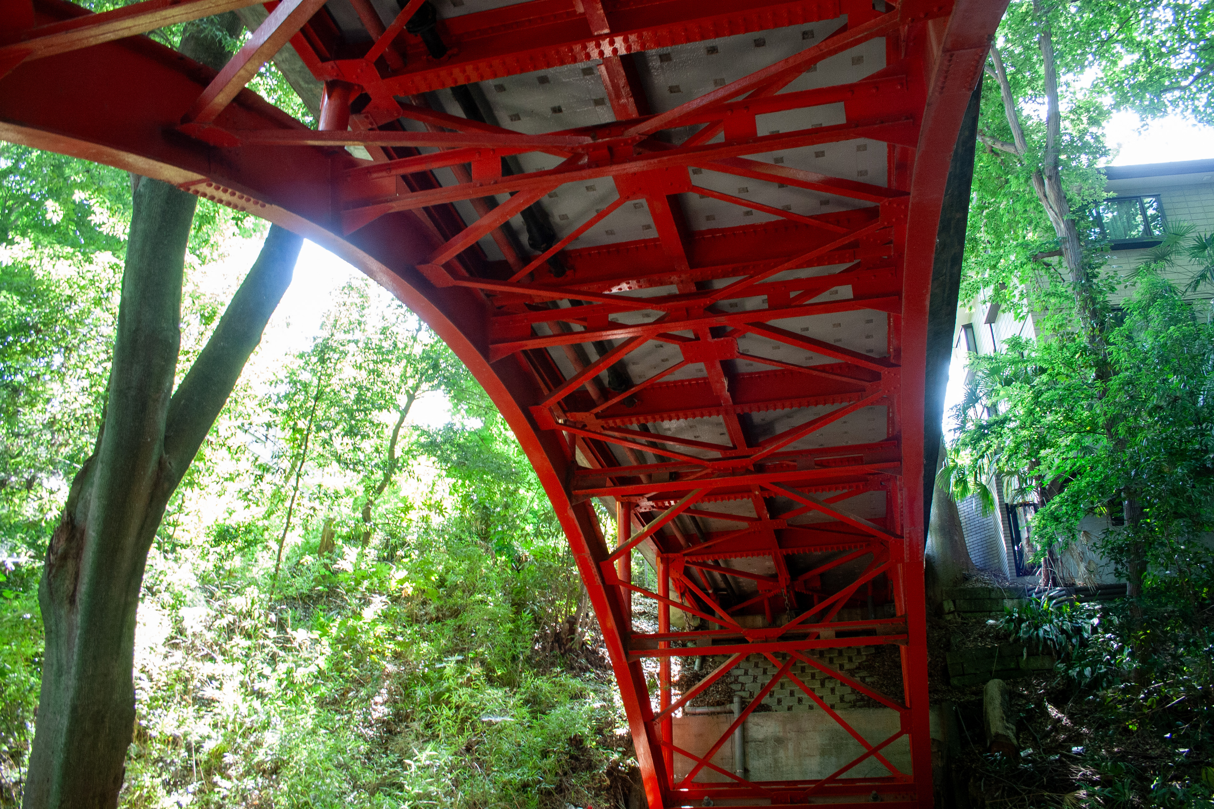 I looked up at the bridge spanning the ravine and noticed that its underside was red.