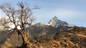 The majestic beauty of the Himalayas – where the sky meets the mountains. 

