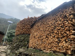 A large stack of chopped firewood piled neatly against a wooden and stone structure, with misty green hills and trees in the background. A solar panel stands nearby along a stone path.