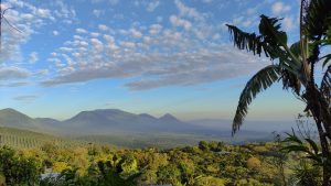 Scenic view of distant mountains under a partly cloudy sky, with lush green trees and a tall banana plant in the foreground.