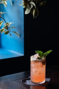 Peach iced cocktail in a textured glass on a dark wooden table, garnished with fresh mint and a dried citrus slice, with a blue window reflection and hanging greenery in the background.
