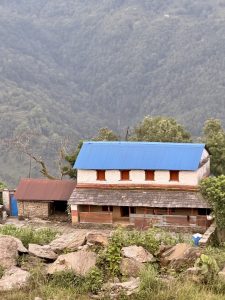A two-storey rural Nepali farmhouse with a bright blue corrugated metal roof, brown shuttered windows, and stone lower walls, set against a dense forested hillside, Nepal. 