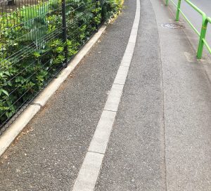 Narrow pathway beside green fence with dense foliage. Adjacent sidewalk has bright green railing. Pathway and sidewalk are separated by a light concrete line.
