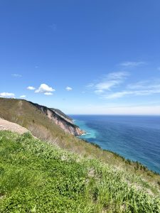 A vertical landscape shot from a grassy hillside looking out at a rugged coastline. Steep, partially forested cliffs meet the bright turquoise and deep blue water of the sea, extending toward the horizon under a bright blue sky with light, wispy clouds. 