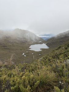 Viewed from the summit of Cerro Chirripó, San Juan Lagoon stands out for its unique fish-shaped outline. Surrounded by the rugged landscapes of Chirripó National Park, this high-altitude lagoon offers a breathtaking view that highlights the beauty and diversity of Costa Rica's mountainous wilderness.