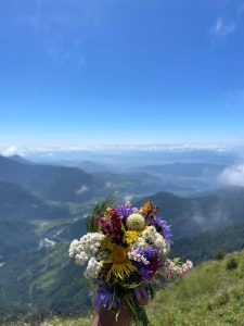 A close-up shot of a hand holding a colorful bouquet of wild mountain flowers, featuring white, yellow, purple, and red blossoms. The background showcases a breathtaking panoramic view of lush green hills stretching into a misty horizon under a clear, bright blue sky.
