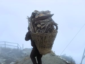 A person carries a large woven basket filled with chopped wood and branches on their back while walking along a rocky mountain path covered in fog, with a wooden railing to the side. 