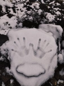 Handprints and a smile imprint in fresh snow on a rock surrounded by snow-covered plants and stones