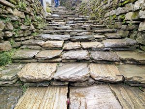 Stone staircase path winding uphill, flanked by moss-covered rock walls
