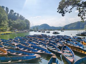Dozens of blue wooden rowboats packed at the Begnas Lake jetty with the lakeside promenade and forested hills beyond 