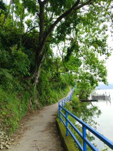 A peaceful lakeside walking path with a blue railing winding beneath arching trees beside Begnas Lake, a wooden boat moored at the water's edge.
