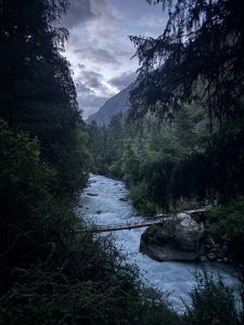 A flowing river and a bridge surrounded by jungle. 