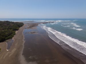 An aerial view of a long dark-sand beach with white waves rolling in from the ocean. A line of palm trees and coastal vegetation borders the shore under a clear blue sky.