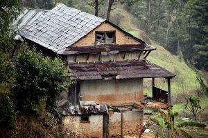 An old hillside home, weathered by time and nature, stands quietly among lush greenery, reflecting resilience and rural heritage. 