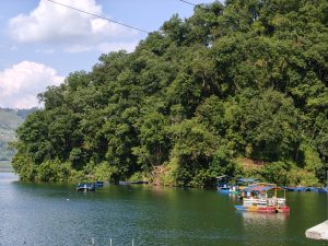 Colorful tourist boats moored along a densely forested island shore on Phewa Lake 