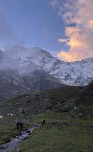 Snow-capped mountains under a vibrant twilight sky with pink clouds. A green meadow in the foreground has a stream and grazing horses, creating a serene atmosphere.
