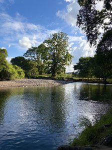 A peaceful river in Costa Rica with clear blue water reflecting the sky, surrounded by lush green trees under a bright blue sky.