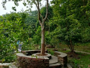A terraced lakeside garden with circular brick tree-surround planters, slender trees, stone retaining walls, and lush dense forest in the background, with a small blue Nepali signboard partially visible on the left, Begnas Lake area, Nepal. 