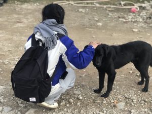 Person crouching to pet a black stray dog on rocky ground.