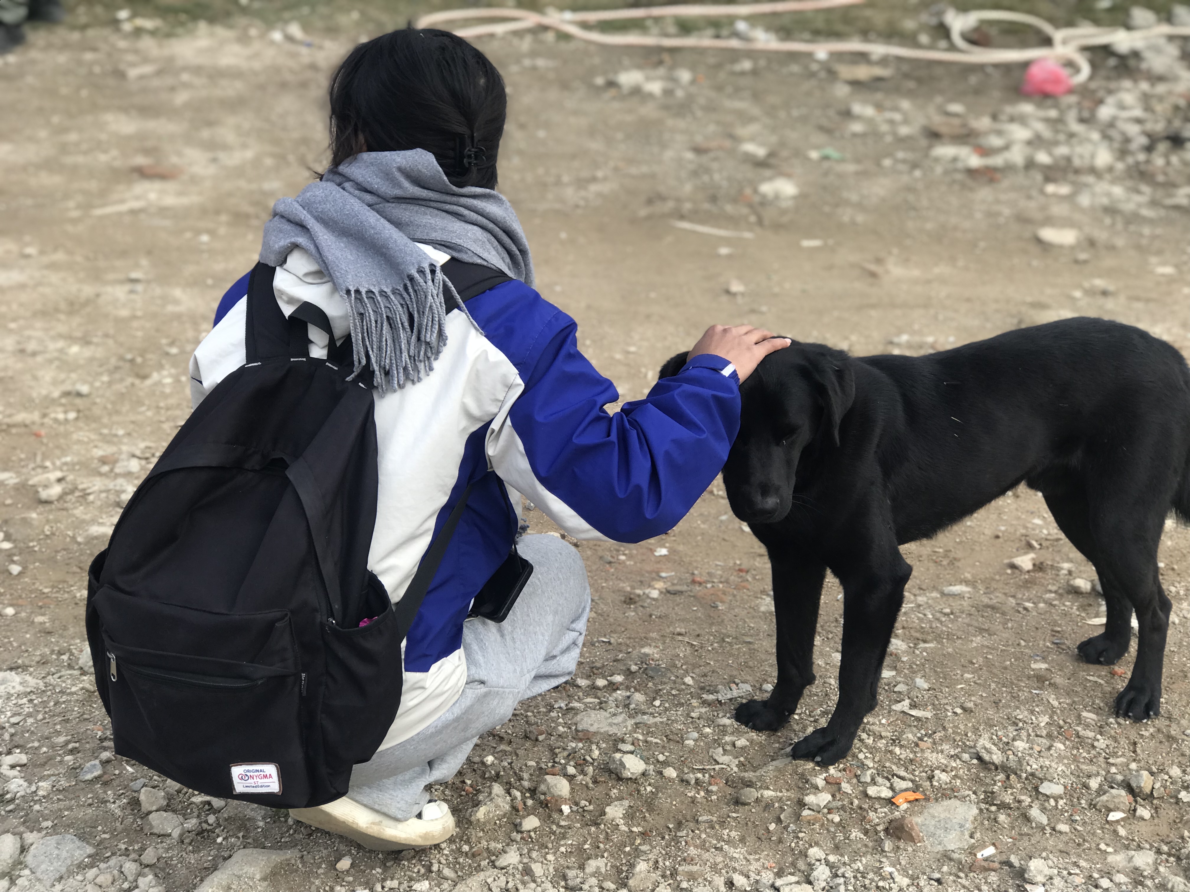 Person crouching to pet a black stray dog on rocky ground.