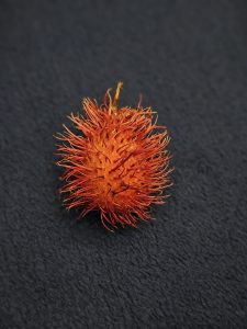 A close-up view of a single rambutan placed on a dark textured surface. The bright red color and delicate hair-like spines create a striking contrast against the dark background. Captured in Perumanna, Kozhikode, Kerala. 