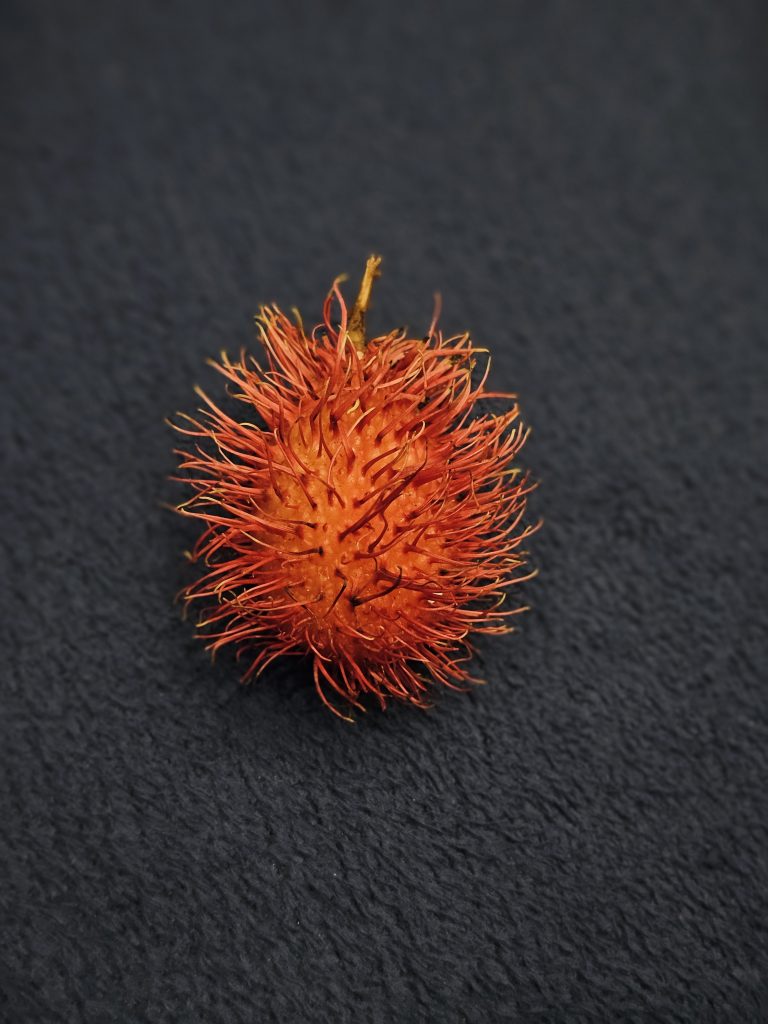 A close-up view of a single rambutan placed on a dark textured surface. The bright red color and delicate hair-like spines create a striking contrast against the dark background. Captured in Perumanna, Kozhikode, Kerala.