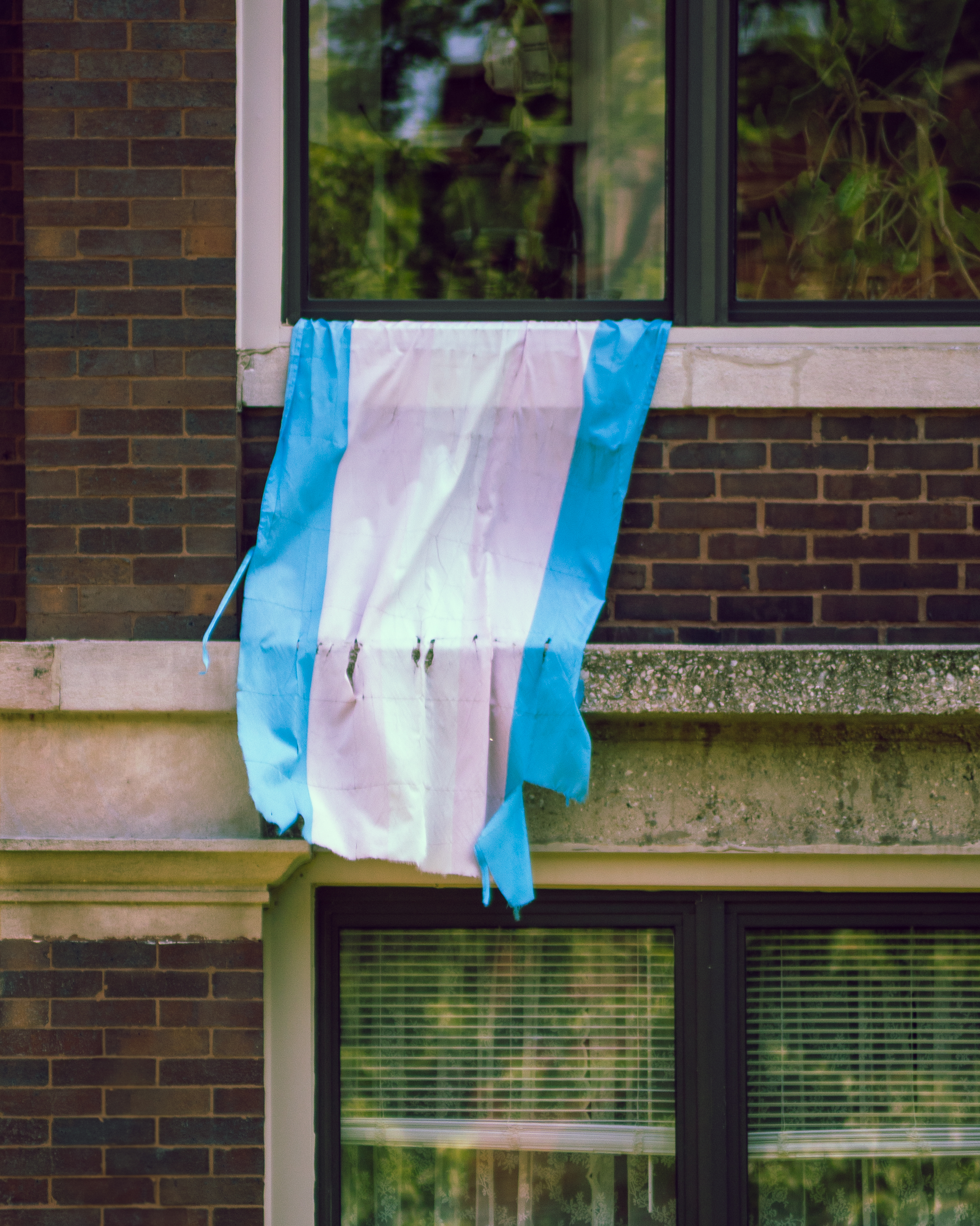 A tattered transgender pride flag hangs from a window ledge on a brick building. #shareyourpride2026