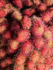 A colorful close-up of fresh rambutans with their distinctive soft spines and bright red skin. The image highlights the fruit's unique texture and tropical appeal. Captured in Perumanna, Kozhikode, Kerala.