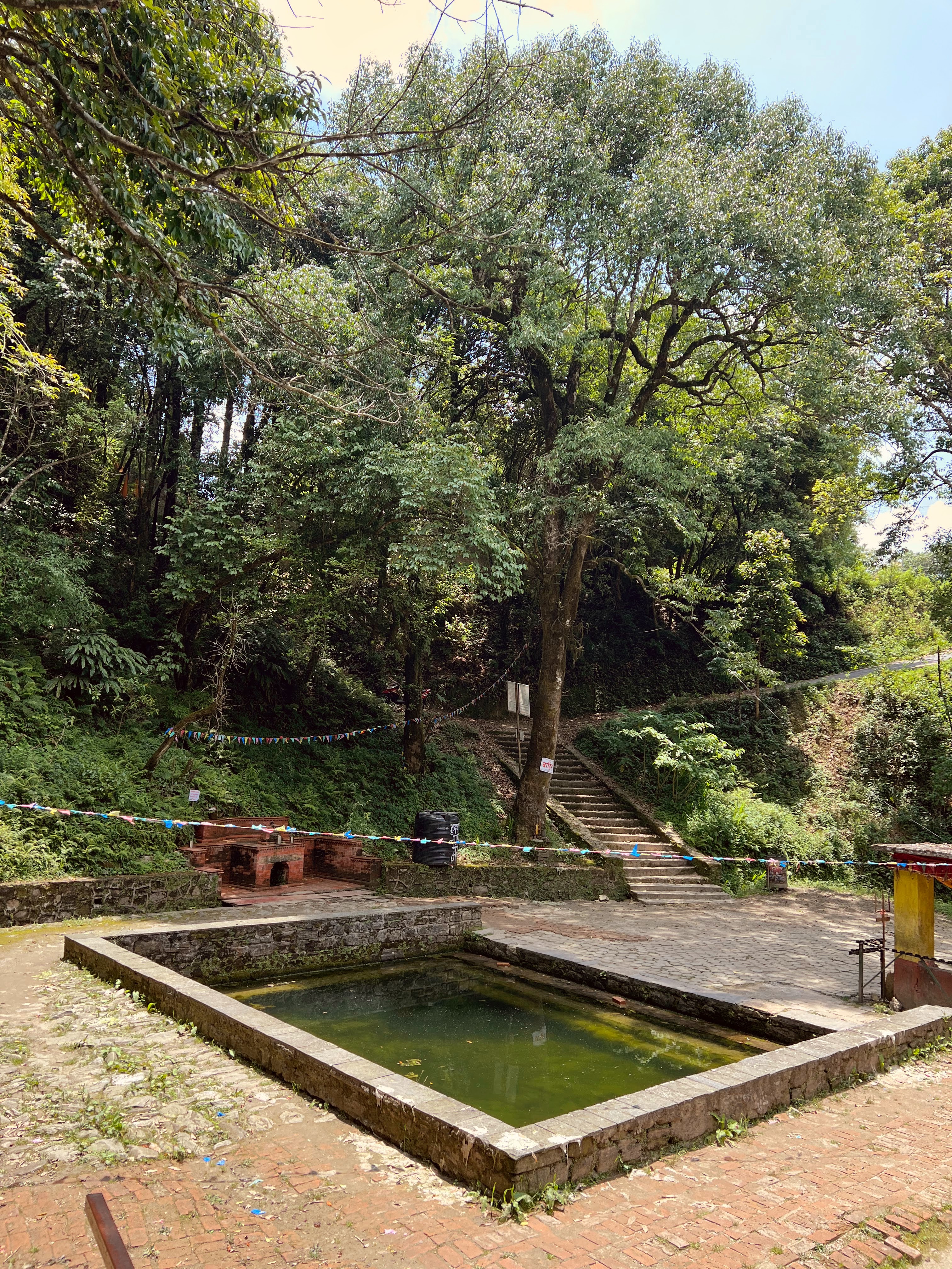 A rectangular stone water pond in a quiet courtyard, surrounded by large shady trees, stone pathways, and a staircase leading up the hill.