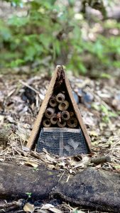 Insect hotel in Todoroki Valley, Tokyo, installed after fallen-tree damage to support bees, insects, and local biodiversity.
