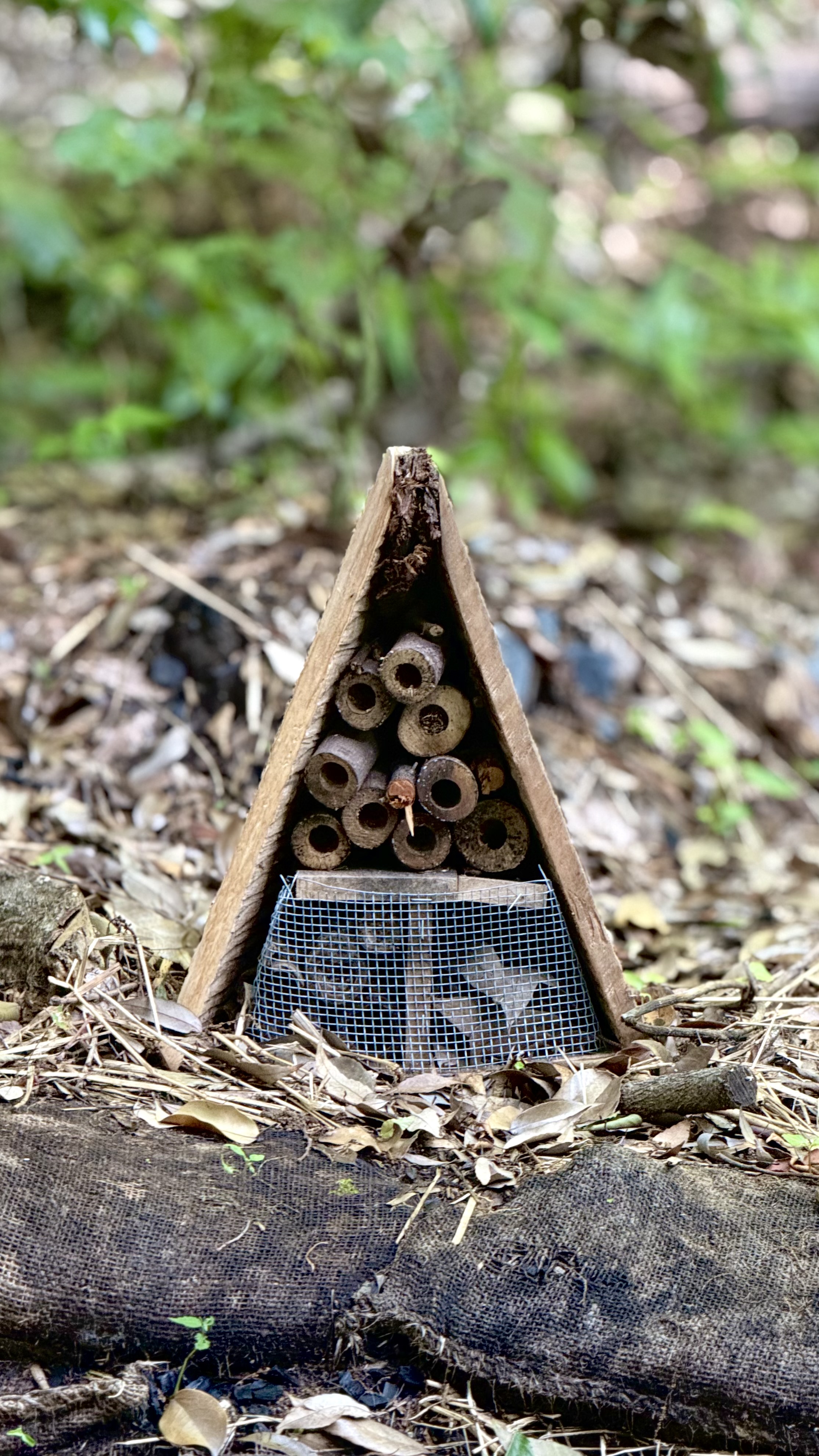 Insect hotel in Todoroki Valley, Tokyo, installed after fallen-tree damage to support bees, insects, and local biodiversity.