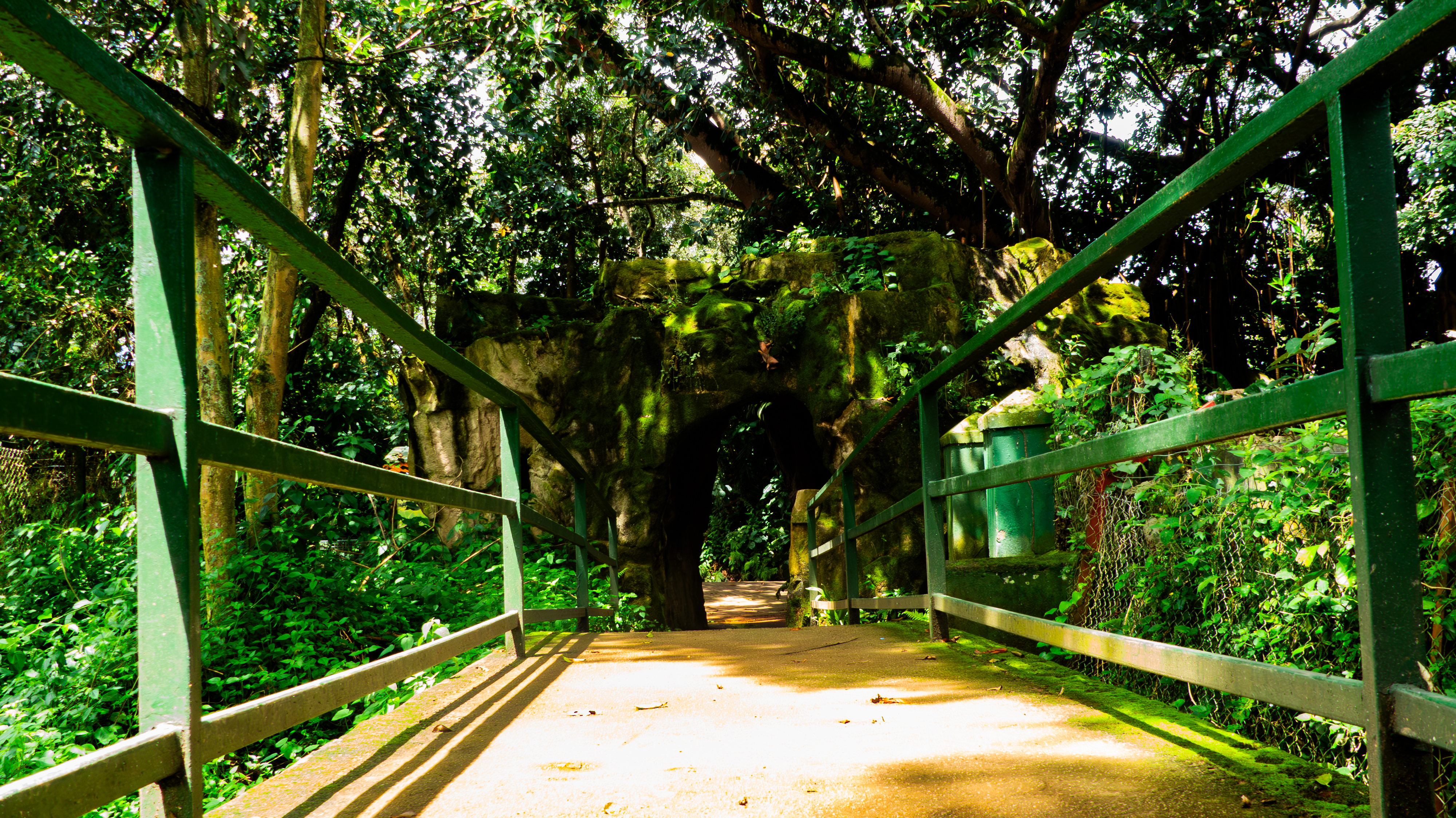 View from a concrete footbridge with green metal railings leading toward a mossy rock archway and stone tunnel entrance surrounded by a dense, shaded green forest canopy.