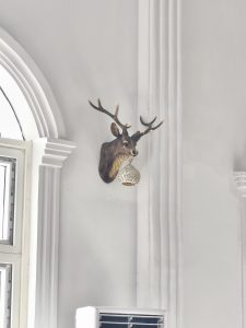 A ceramic rendition of a deer head on a white wall.  Hanging from its mouth is a large ball-shaped ornament.