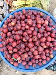 A blue basin overflowing with small round red plums (likely lapsi or wild plums) at a street market. 