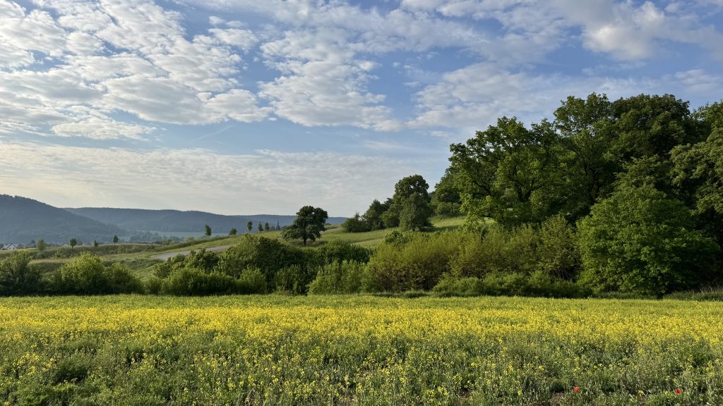 A bright yellow rapeseed field stretches across the foreground, backed by rolling green hills, scattered trees, and a quiet road winding past a small village. Wooded slopes rise in the distance beneath a wide, cloud-dappled blue sky.