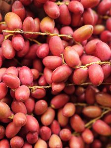 A close-up image of clusters of bright red dates (Phoenix sylvestris) hanging from thin stems. Commonly known as kharek, the fresh fruits create a vibrant, eye-catching composition with their rich colors and natural arrangement. Captured in Perumanna, Kozhikode, Kerala. 