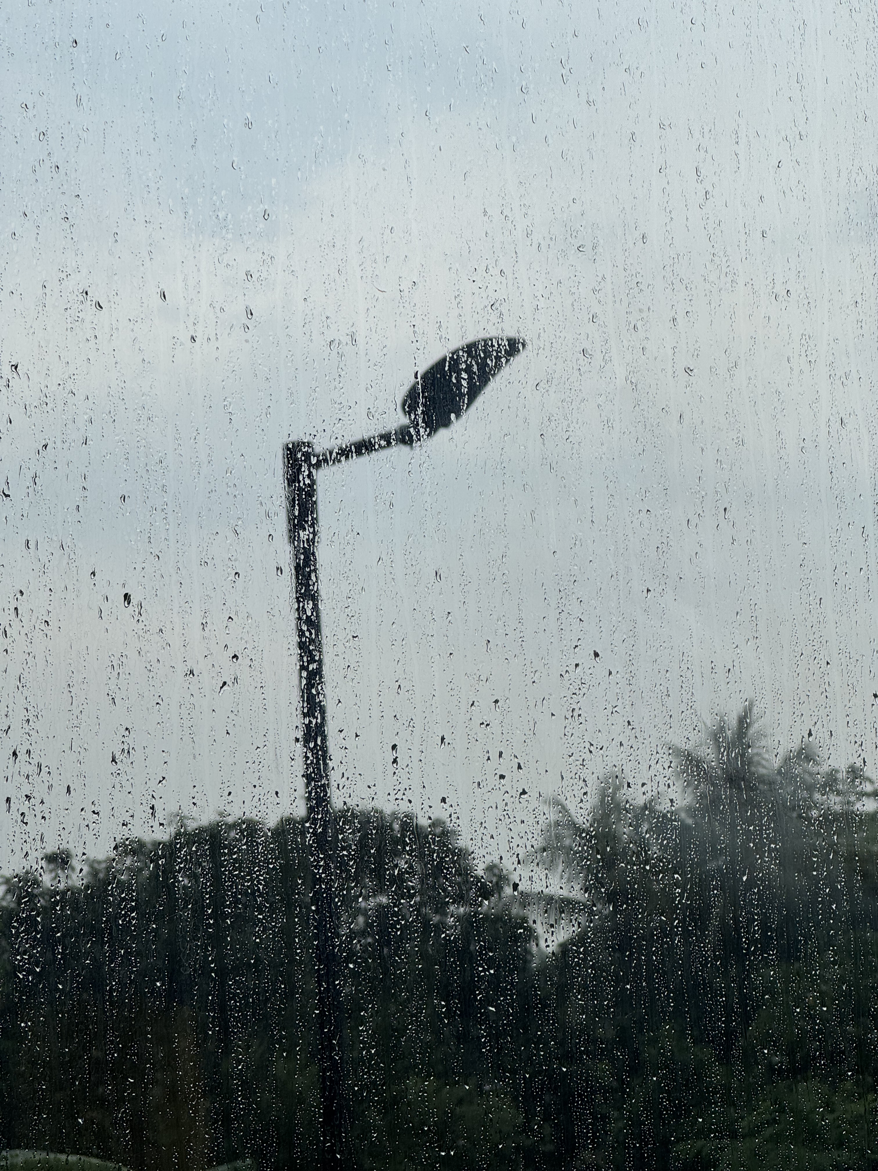 Rain-drenched window with scattered droplets, partially obscuring a streetlamp and blurred trees under a gray sky, creating a somber mood.