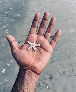Close-up of a hand holding a small white starfish on a sandy beach